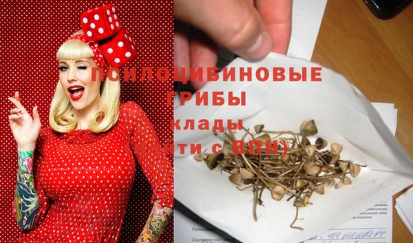 спайс Арсеньев